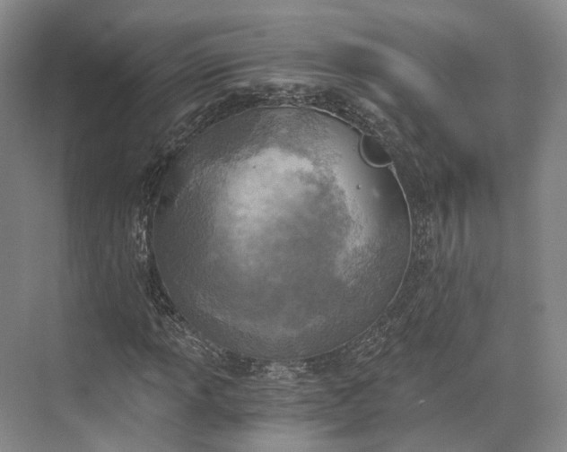 X0000072931013200608041210