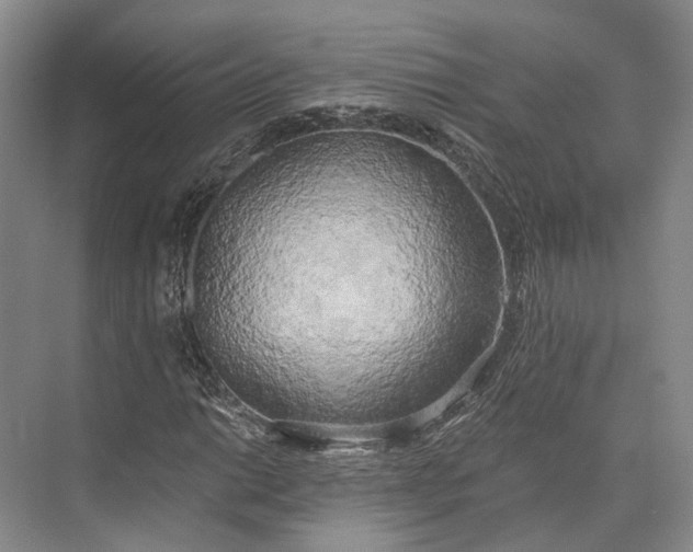 X0000072931014200608041210