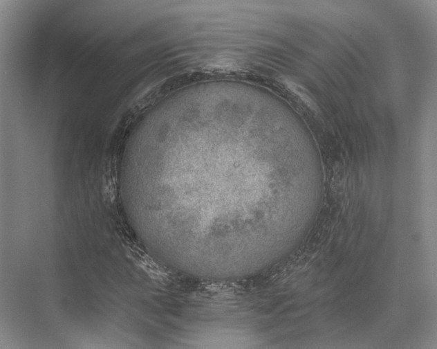 X0000072931015200608041210