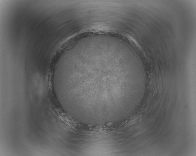 X0000072931016200608041210