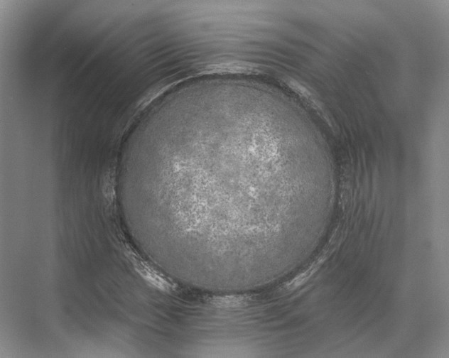 X0000072931017200608041210