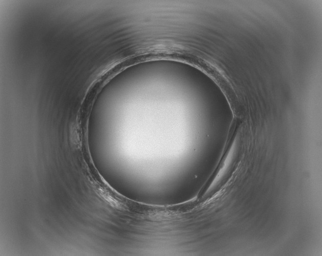 X0000072931018200608041210