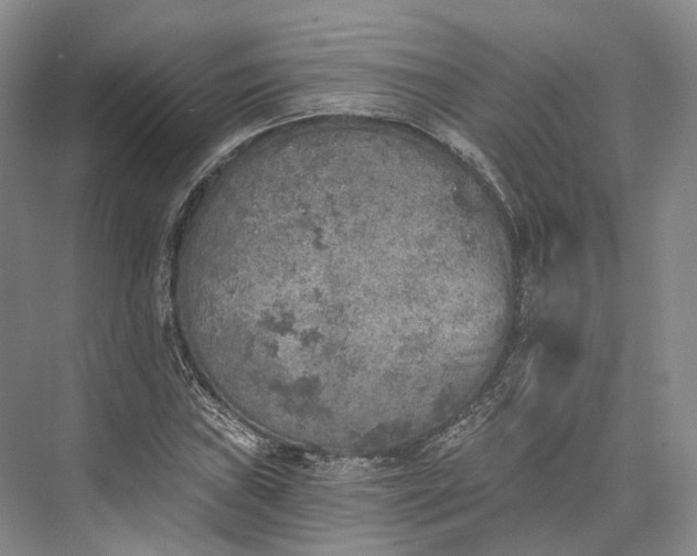 X0000072931019200608041210