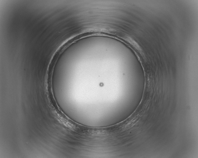 X0000072931020200608041210