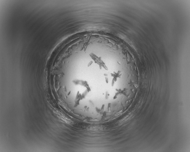 X0000072931021200608041210