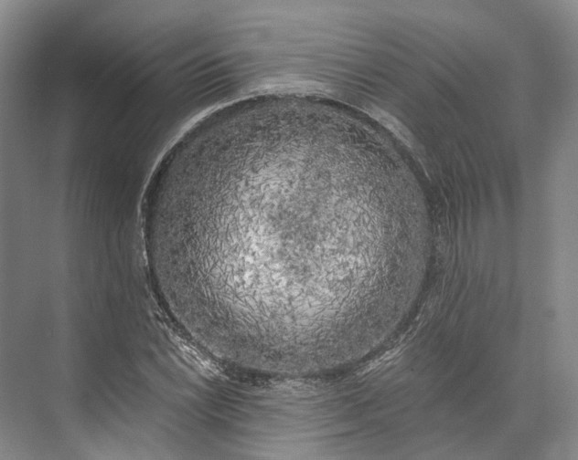 X0000072931022200608041210