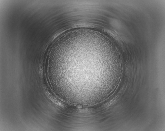 X0000072931025200608041210