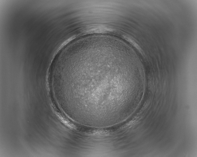 X0000072931026200608041210