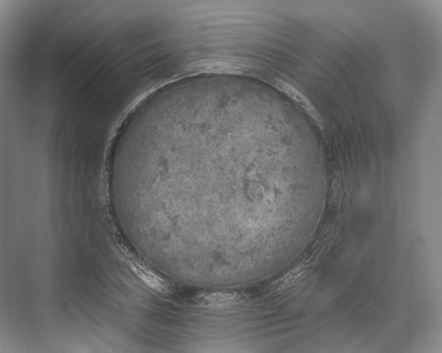 X0000072931027200608041210