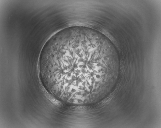 X0000072931028200608041210