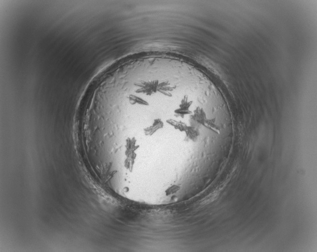 X0000072931029200608041210