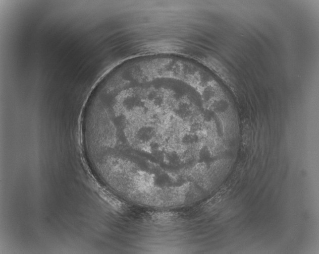 X0000072931031200608041210