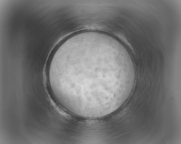 X0000072931032200608041210