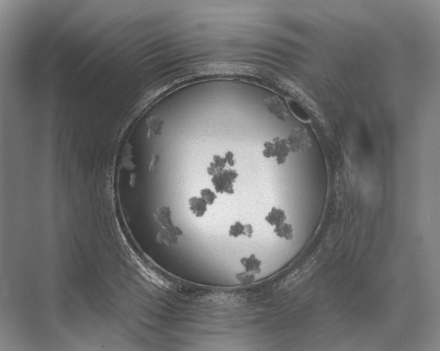 X0000072931033200608041210