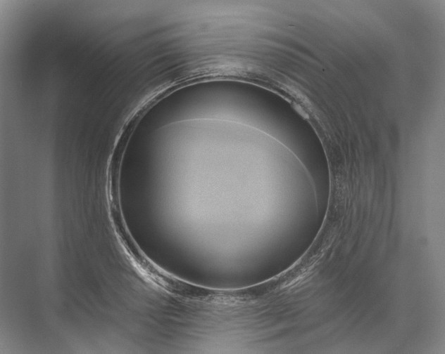 X0000072931034200608041211