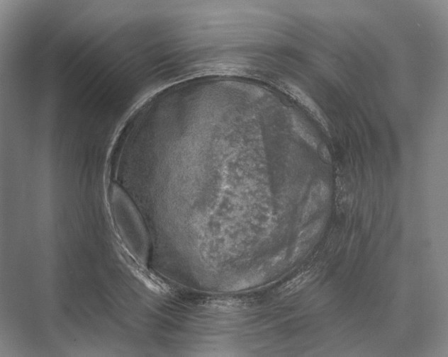 X0000072931035200608041211