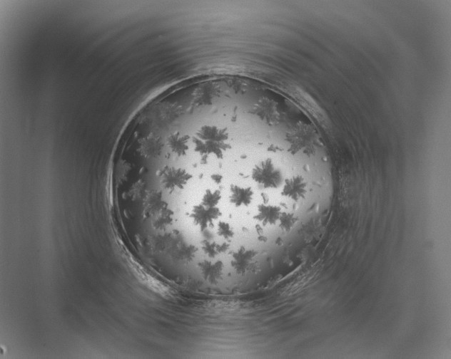 X0000072931036200608041211