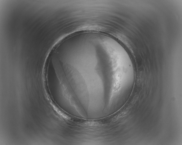 X0000072931037200608041211