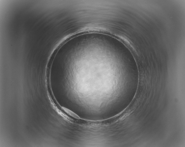 X0000072931038200608041211