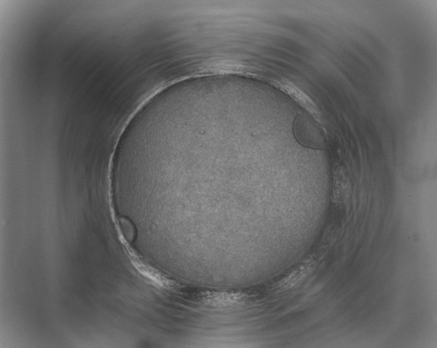 X0000072931039200608041211