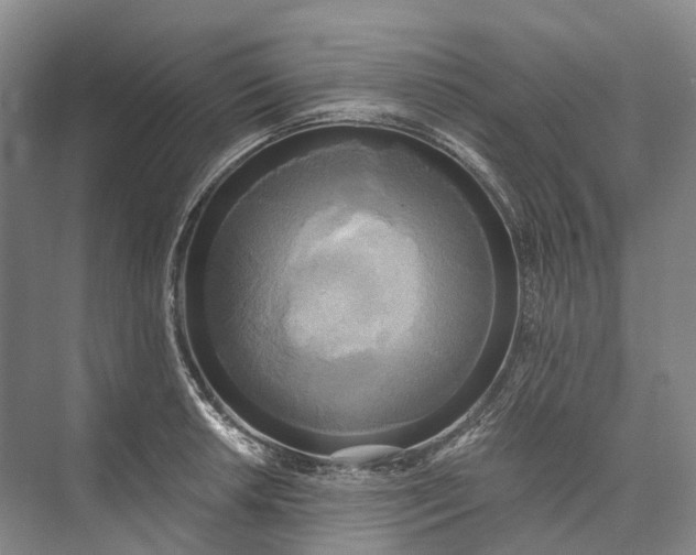 X0000072931042200608041211