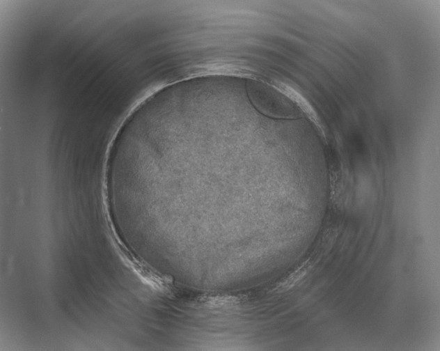 X0000072931043200608041211