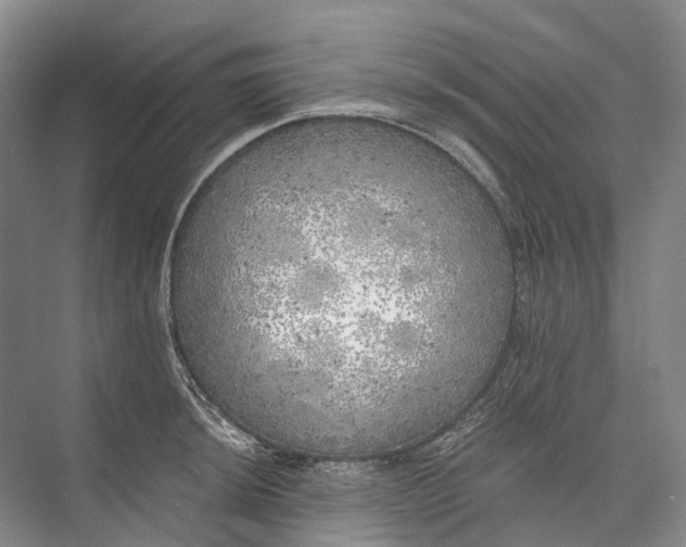 X0000072931044200608041211