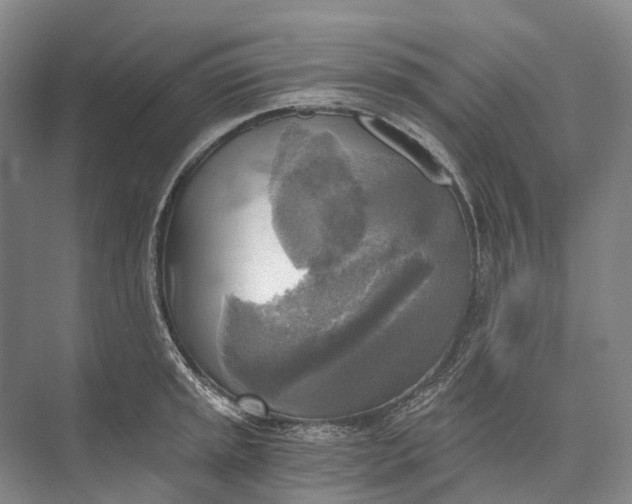 X0000072931045200608041211