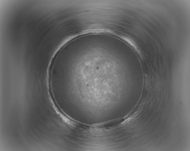 X0000072931046200608041211