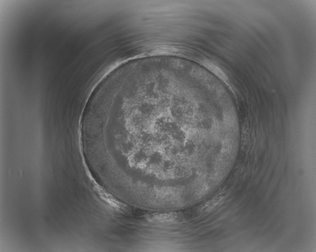 X0000072931047200608041211