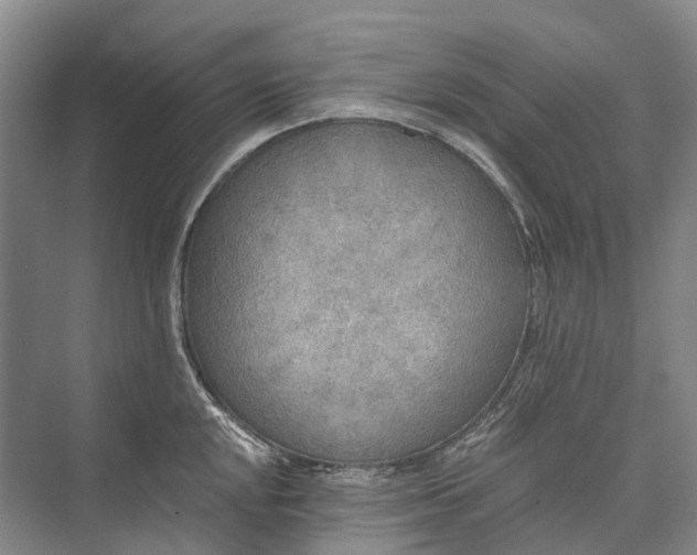 X0000072931048200608041211