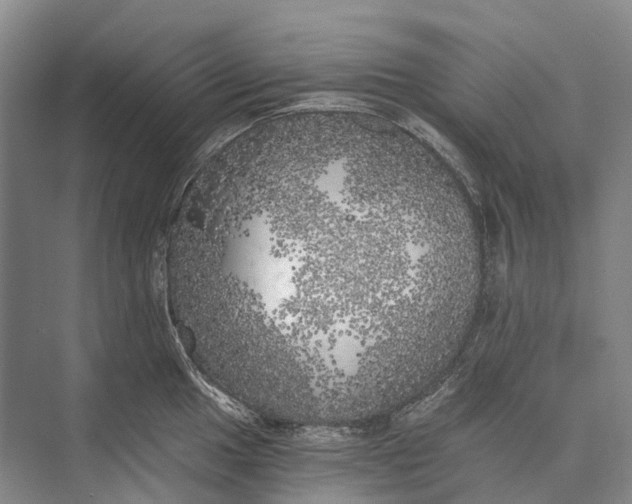 X0000072931049200608041211