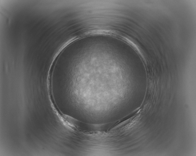 X0000072931050200608041211