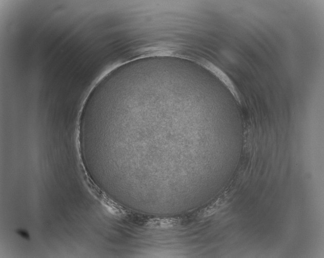 X0000072931051200608041211