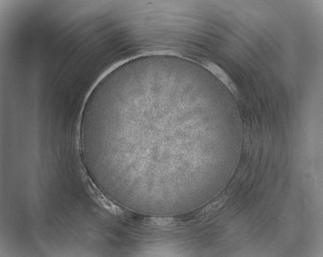 X0000072931052200608041211