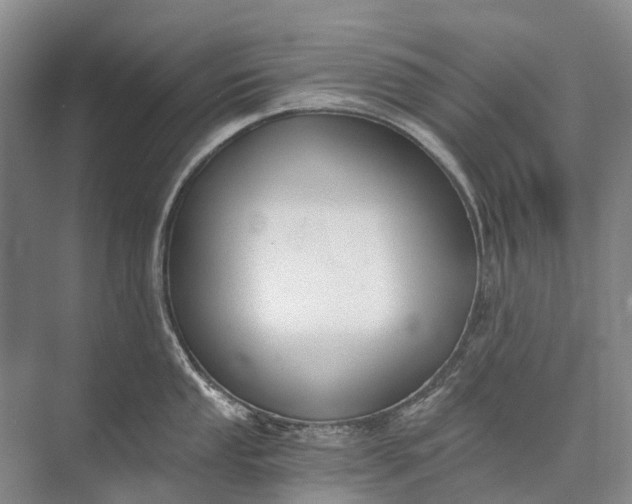 X0000072931053200608041211