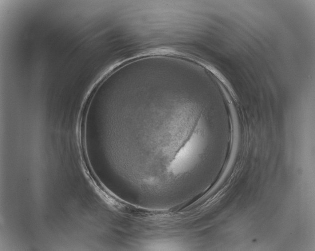 X0000072931054200608041211