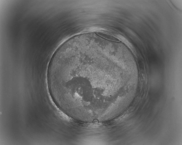 X0000072931055200608041211