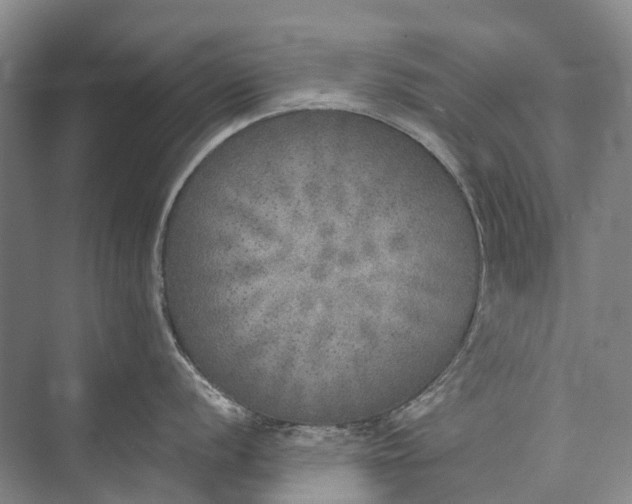 X0000072931056200608041211