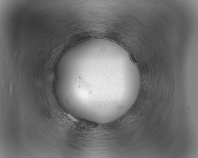 X0000072931057200608041210