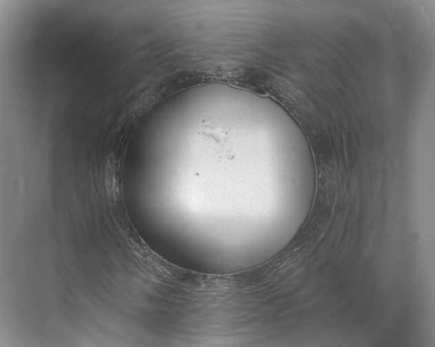 X0000072931058200608041210