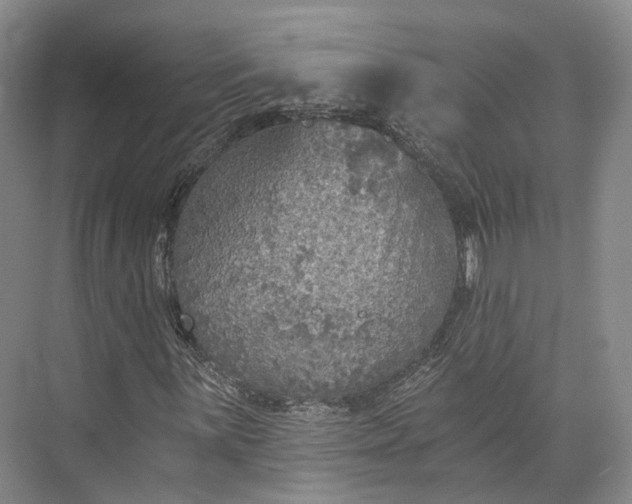 X0000072931059200608041210