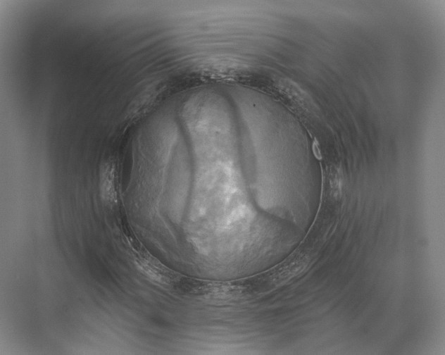 X0000072931060200608041210