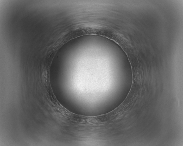 X0000072931061200608041210