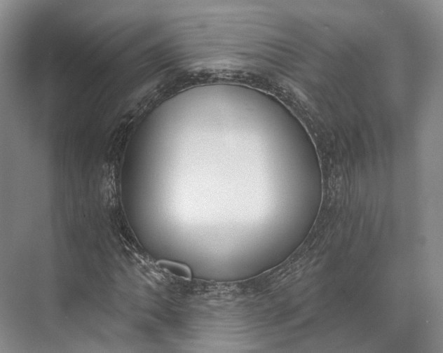 X0000072931062200608041210