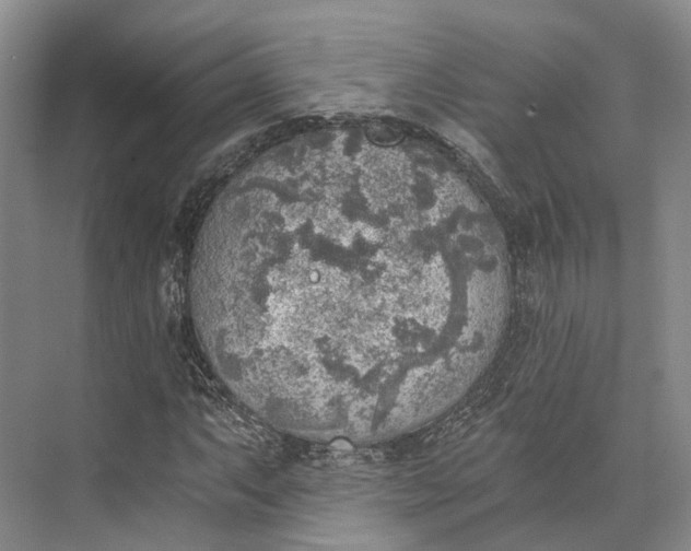 X0000072931063200608041210