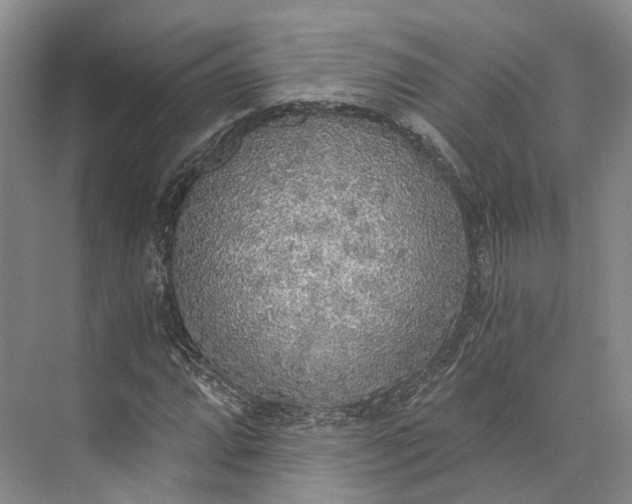 X0000072931064200608041210