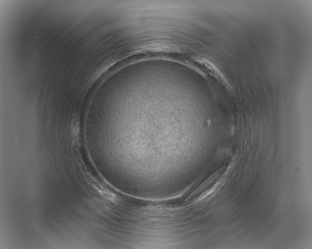 X0000072931065200608041210