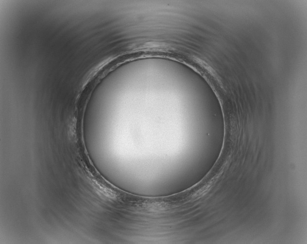 X0000072931066200608041210