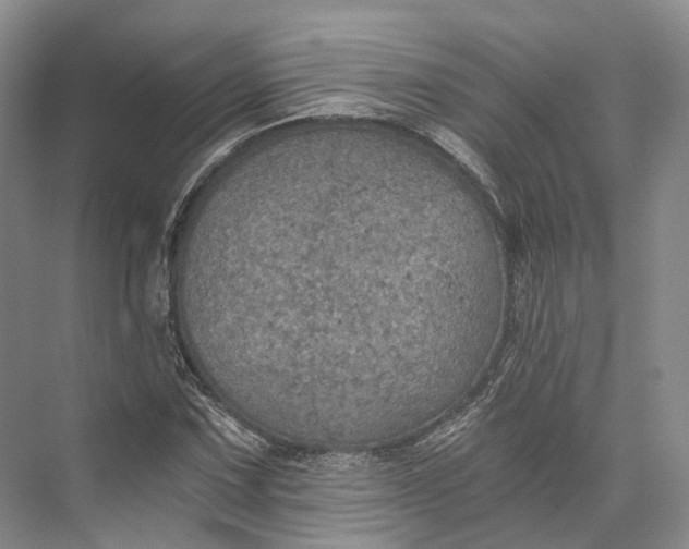 X0000072931067200608041210